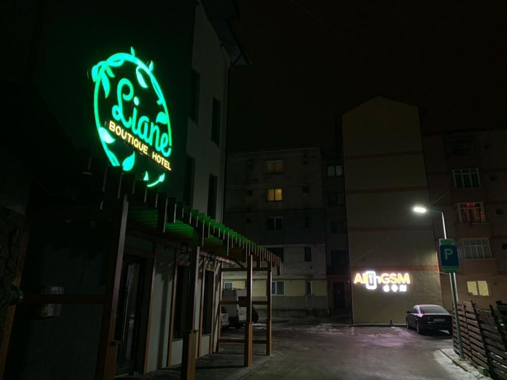 Liane Boutique Hotel Campulung Moldovenesc Exterior photo