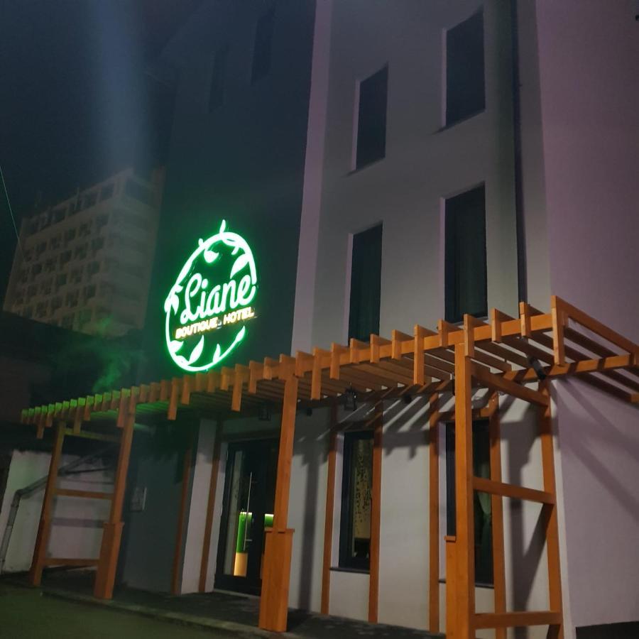 Liane Boutique Hotel Campulung Moldovenesc Exterior photo